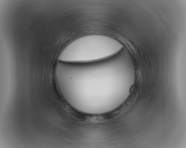 X0000113080517200908280950
