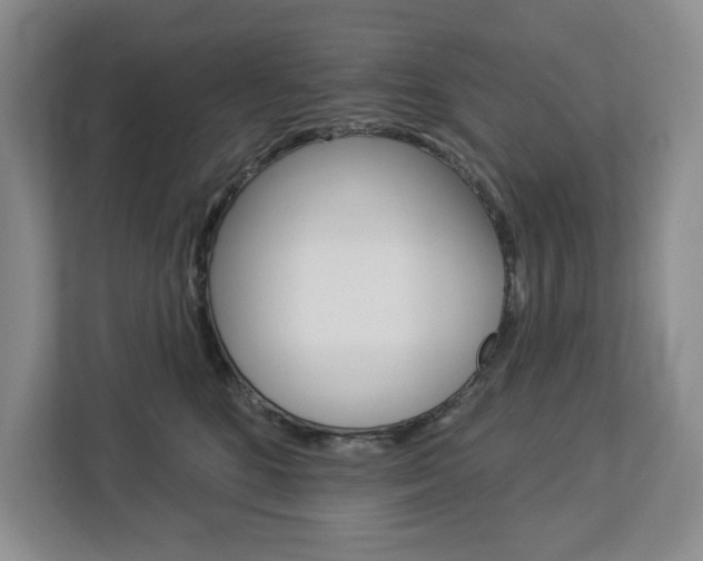 X0000113080520200908280950