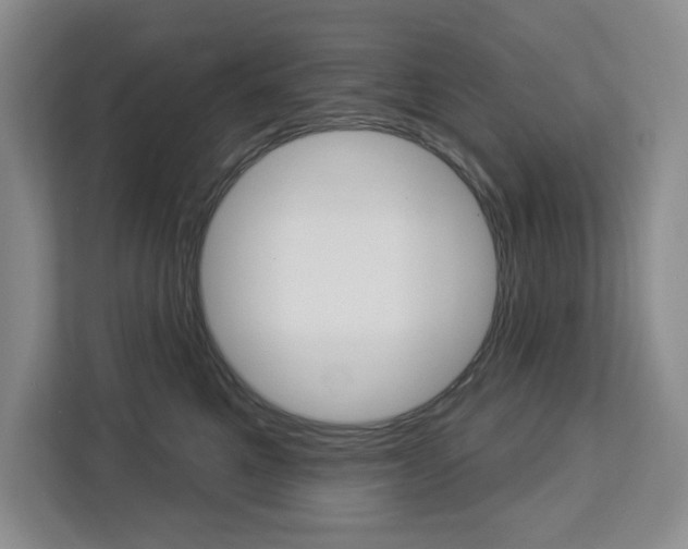 X0000113080521200908280950