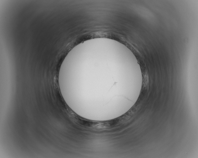 X0000113080522200908280950