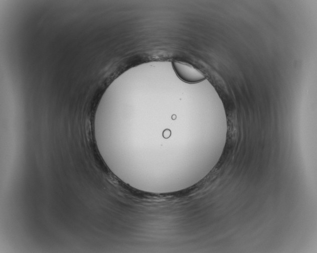 X0000113080523200908280950
