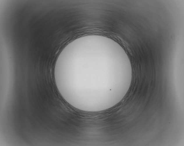 X0000113080524200908280950