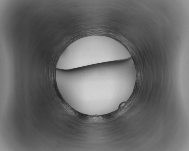 X0000113080525200908280950