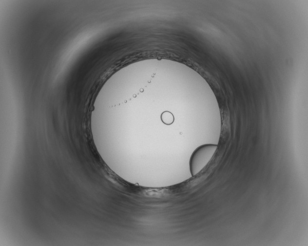 X0000113080526200908280950