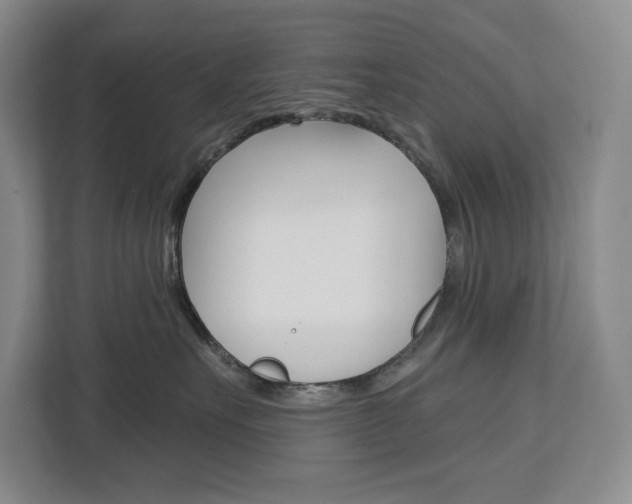 X0000113080527200908280950