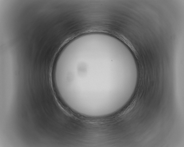 X0000113080530200908280949