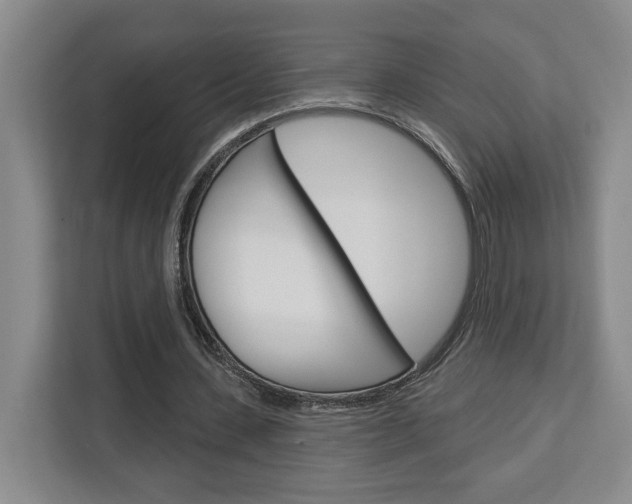 X0000113080531200908280949