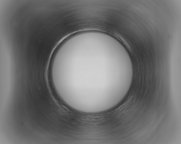 X0000113080532200908280949