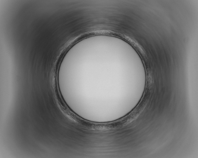 X0000113080533200908280949