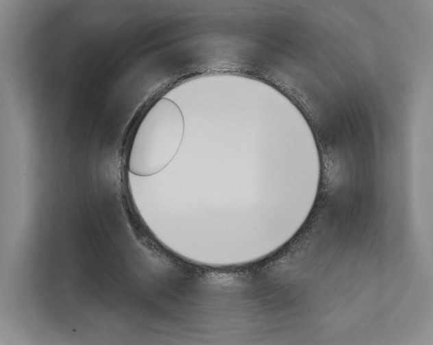 X0000113080534200908280949
