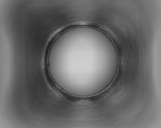 X0000113080536200908280949