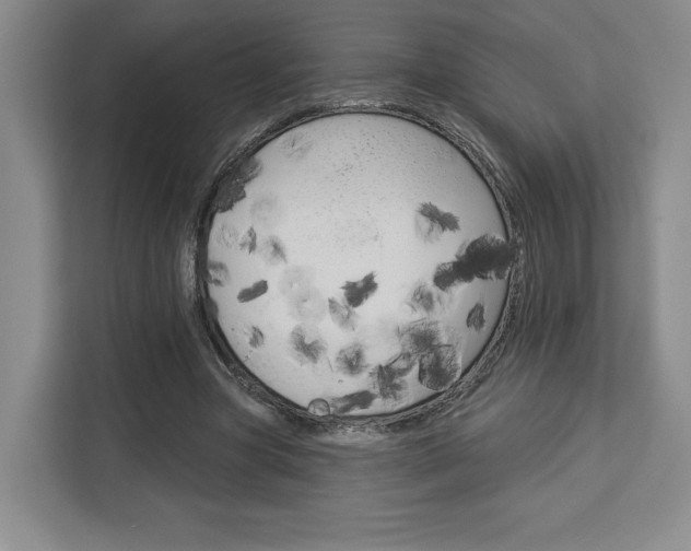 X0000113080537200908280949