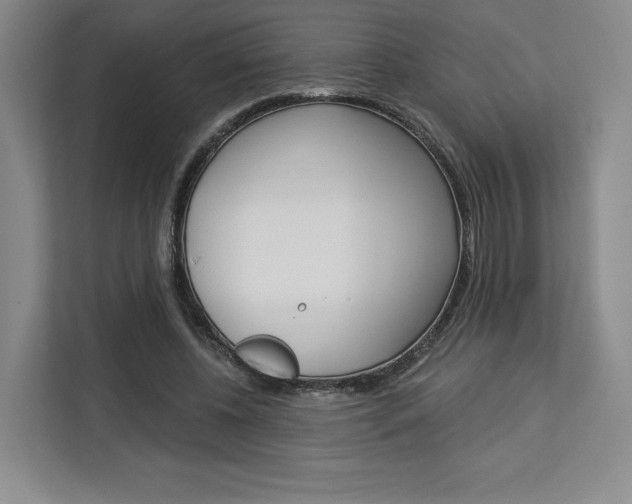 X0000113080540200908280949