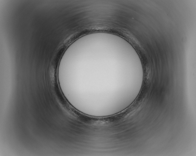X0000113080542200908280949