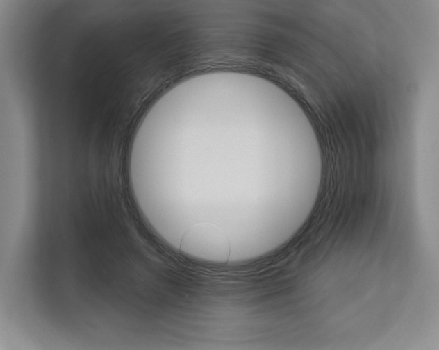 X0000113080546200908280949