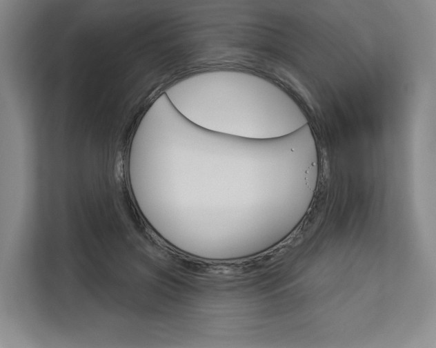 X0000113080549200908280949
