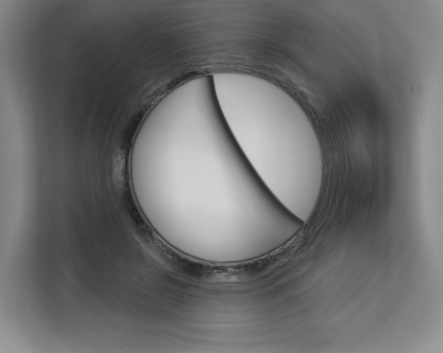 X0000113080550200908280949