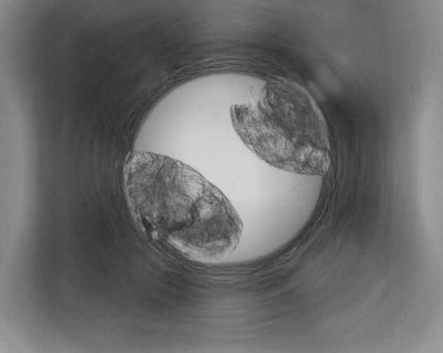 X0000113080553200908280949