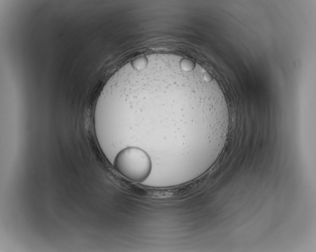 X0000113080554200908280949