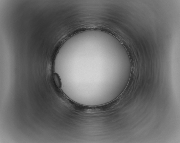 X0000113080556200908280949