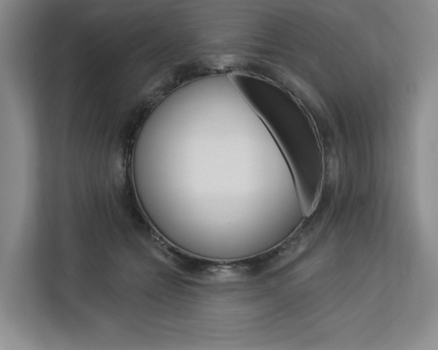 X0000113080558200908280949