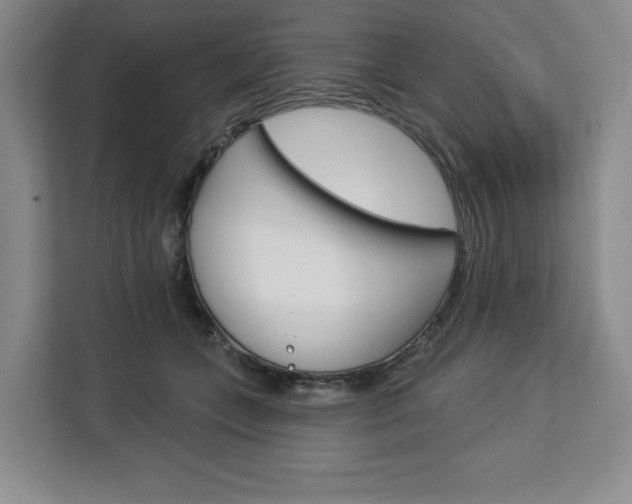 X0000113080559200908280949