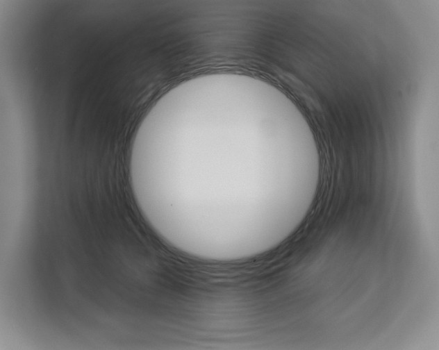 X0000113080560200908280949