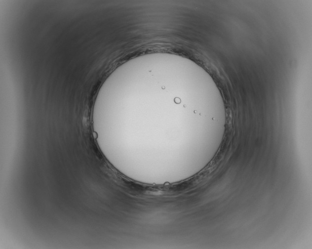 X0000113080561200908280949