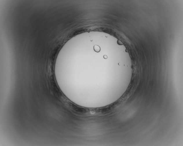 X0000113080565200908280949