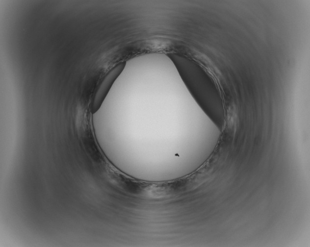 X0000113080568200908280949