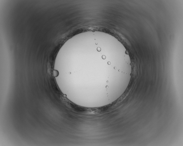 X0000113080569200908280949