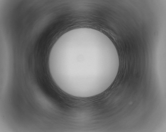 X0000113080572200908280949