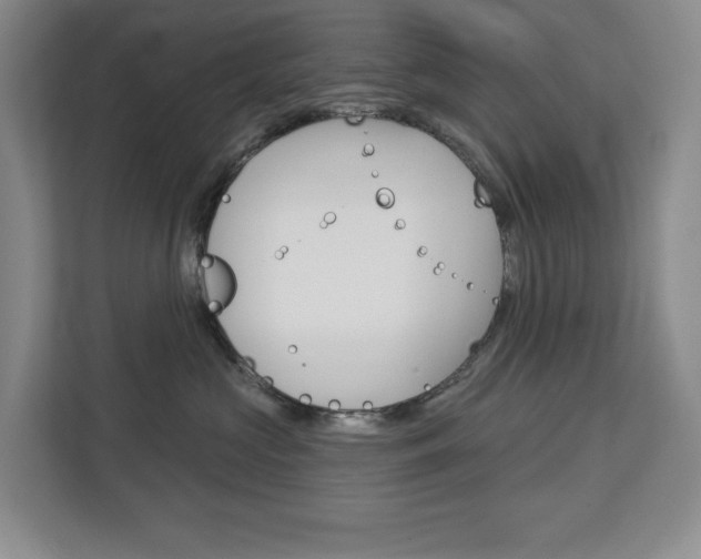 X0000113080573200908280949