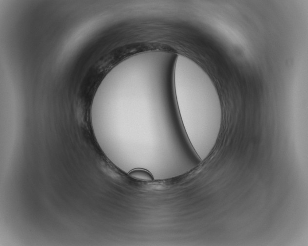 X0000113080574200908280949