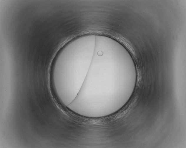 X0000113080578200908280949