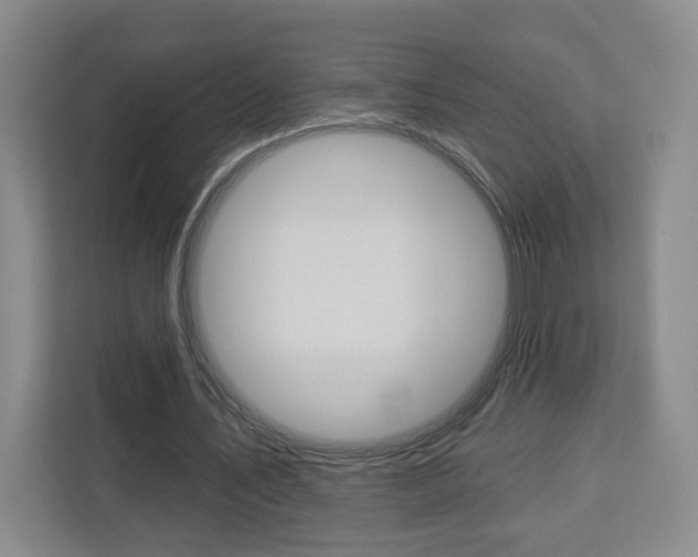 X0000113080579200908280949