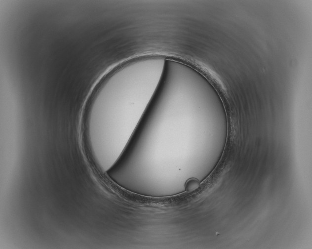 X0000113080580200908280949