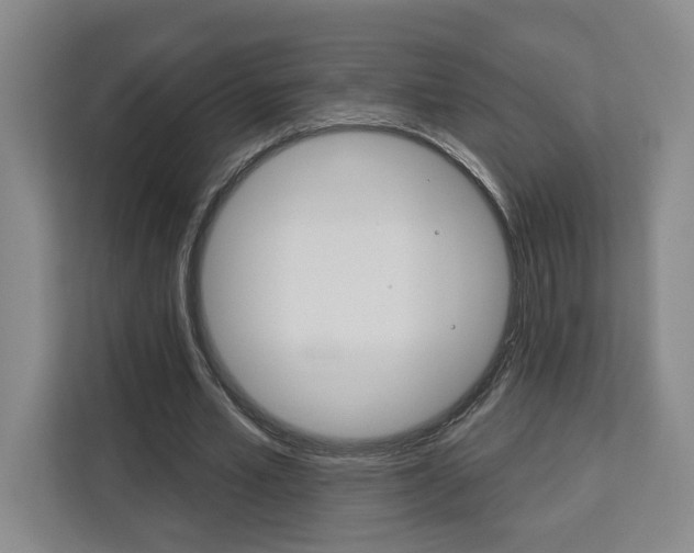 X0000113080581200908280949