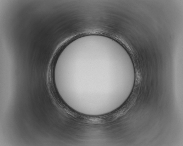 X0000113080583200908280949