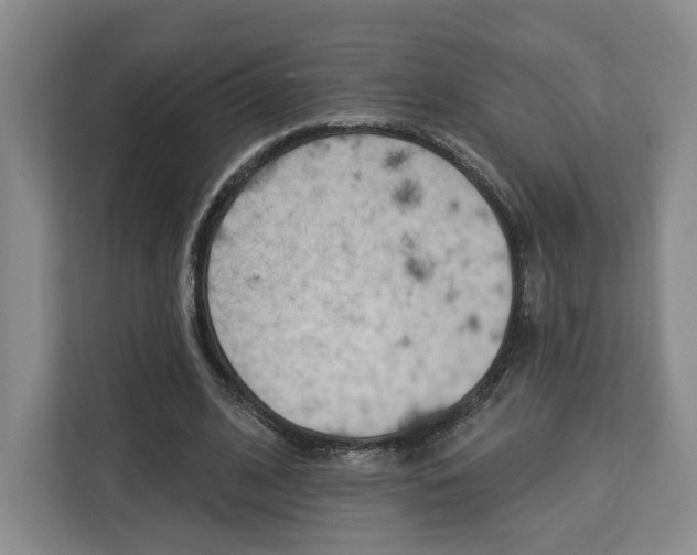 X0000113080584200908280949