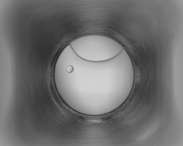 X0000113080586200908280949