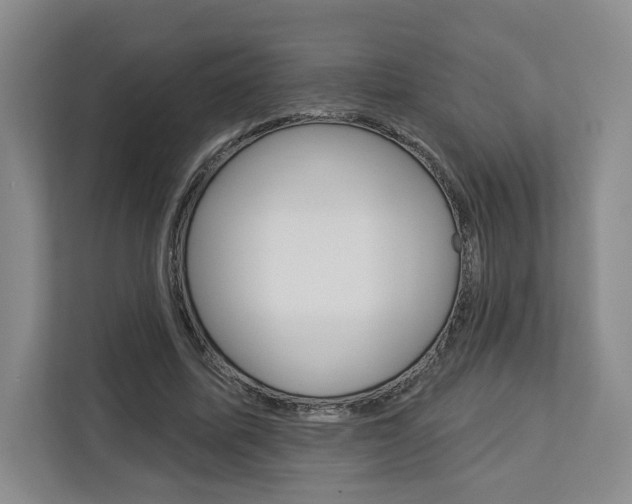 X0000113080587200908280949
