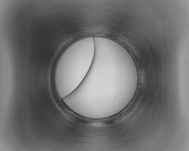 X0000113080590200908280949