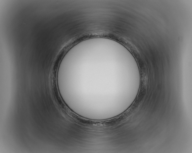 X0000113080591200908280949