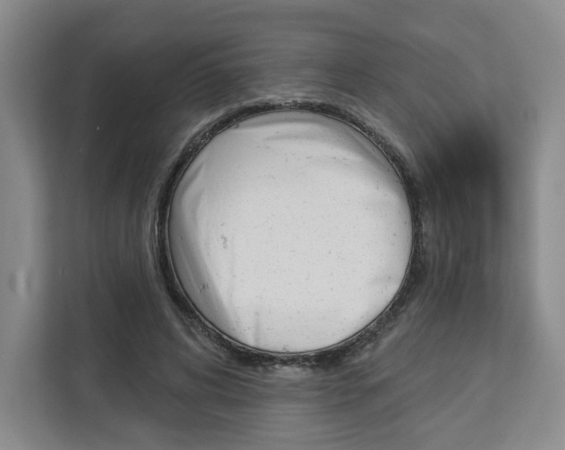 X0000113080592200908280949