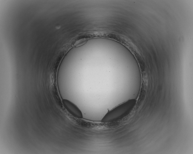 X0000113080593200908280949