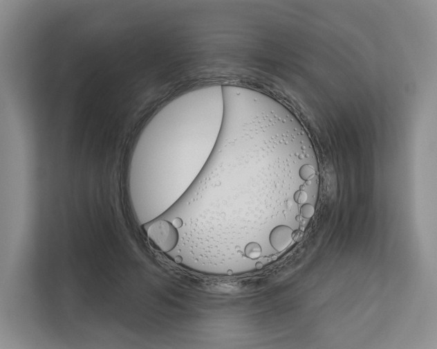 X0000113080594200908280949