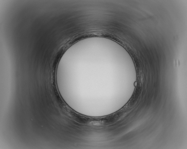 X0000113080595200908280949