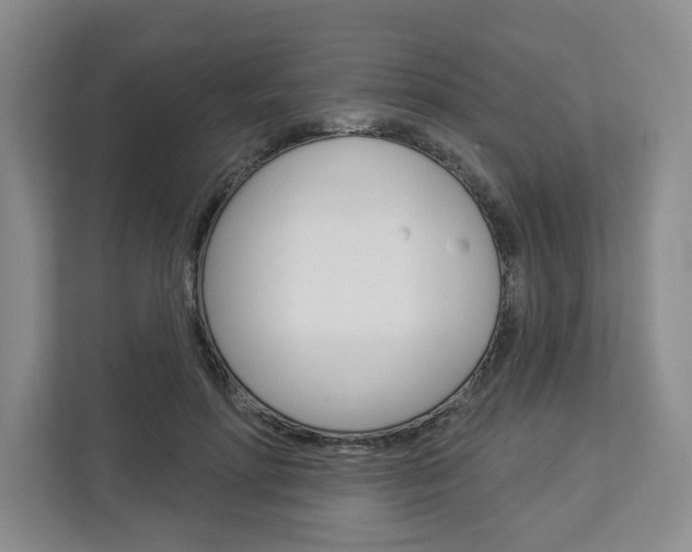 X0000113080598200908280949
