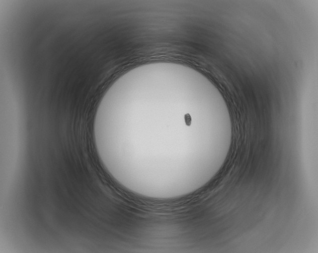 X0000113080599200908280949